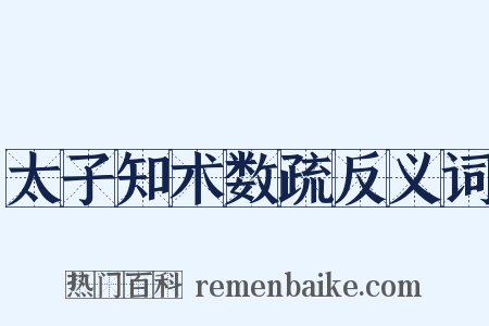 太子知术数疏反义词是什么意思的图片